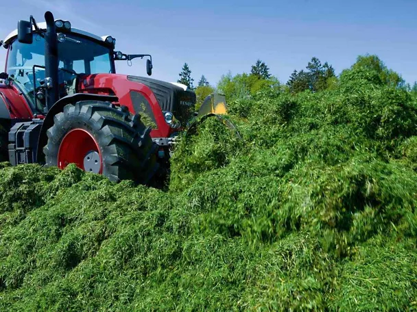 Nurmisäilörehu Nurmisäilörehu